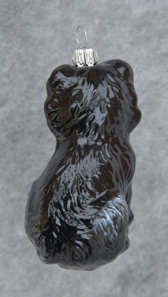 Katze schwarz glänzend